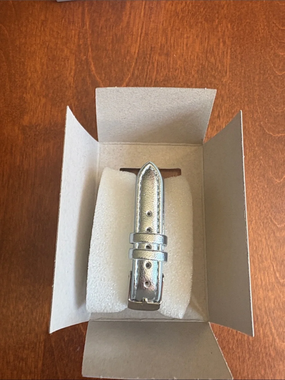 Kessaris silver watch